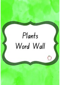Plants Word Wall