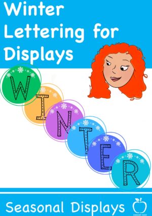 Winter Themed Letters / Numbers Display